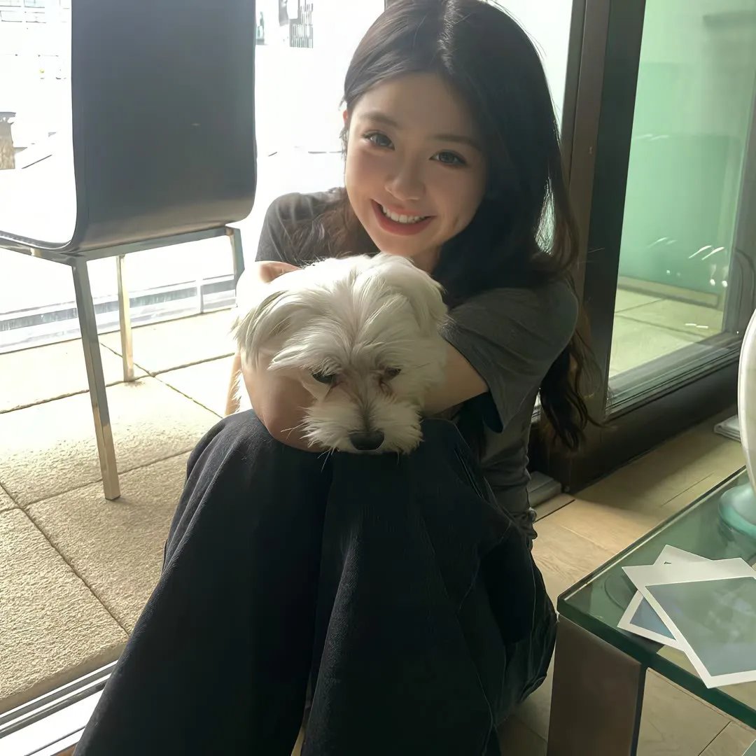 西线无战事